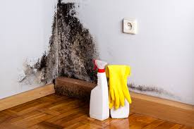 Dehumidification Services in Marlboro, NY